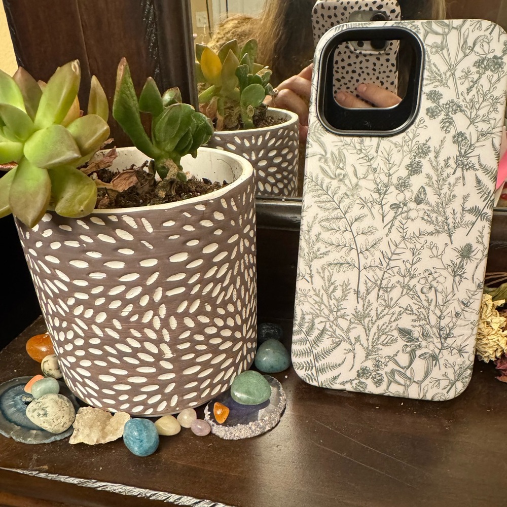 Casely IPhone 15 Pro Max Sage Garden